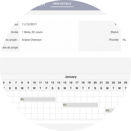 Vue Gantt